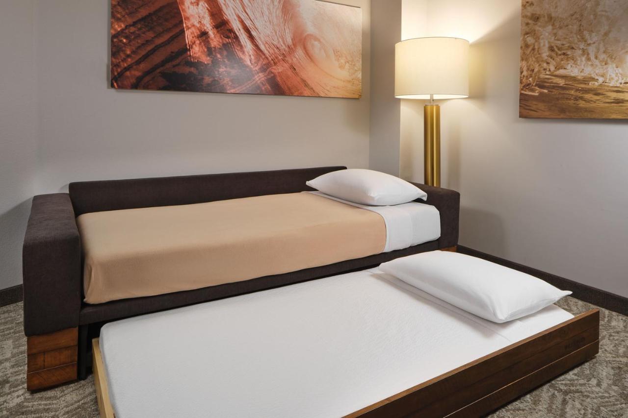 Springhill Suites By Marriott Jacksonville Baymeadows Luaran gambar